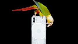 Niets Telefoon (1): Alles wat we tot nu toe weten